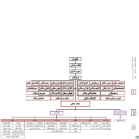 راسته عقاب سانان Accipitriformes